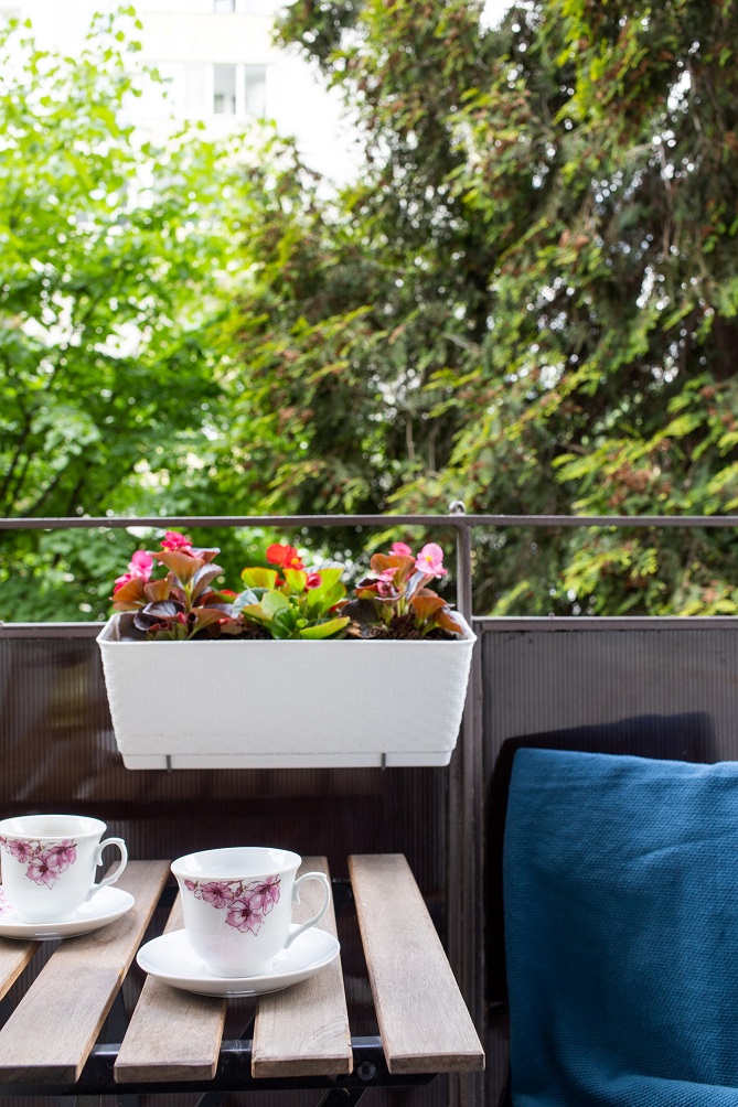 דו משפחתי למכירה ברעננה - מבט מהמרפסת