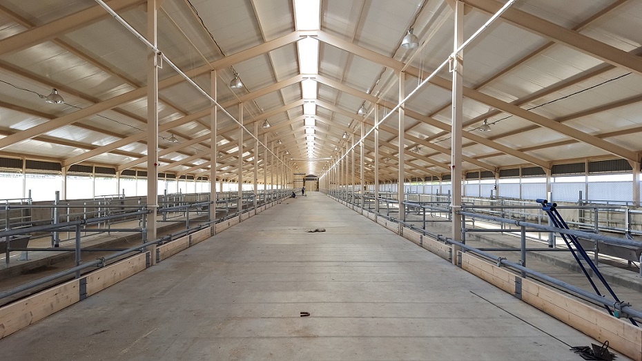 משק למכירה בשרון