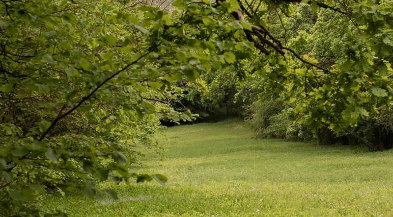שדה נחלה ביישובי השרון